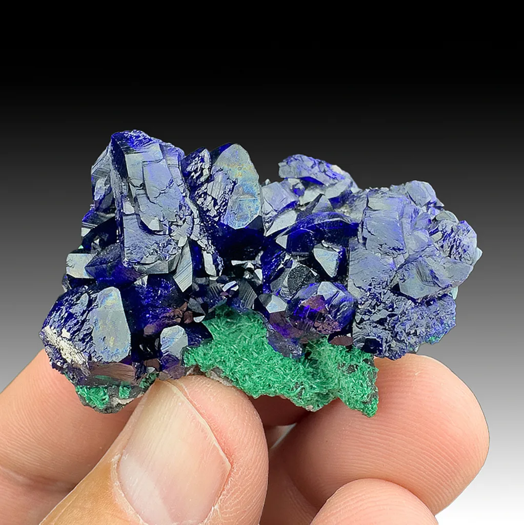 Azurite with Malachite image
