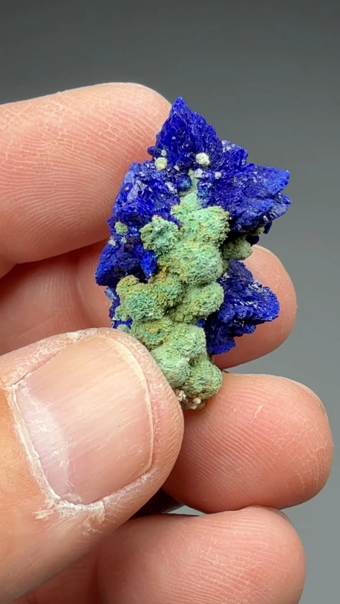 Azurite with Malachite - image 2