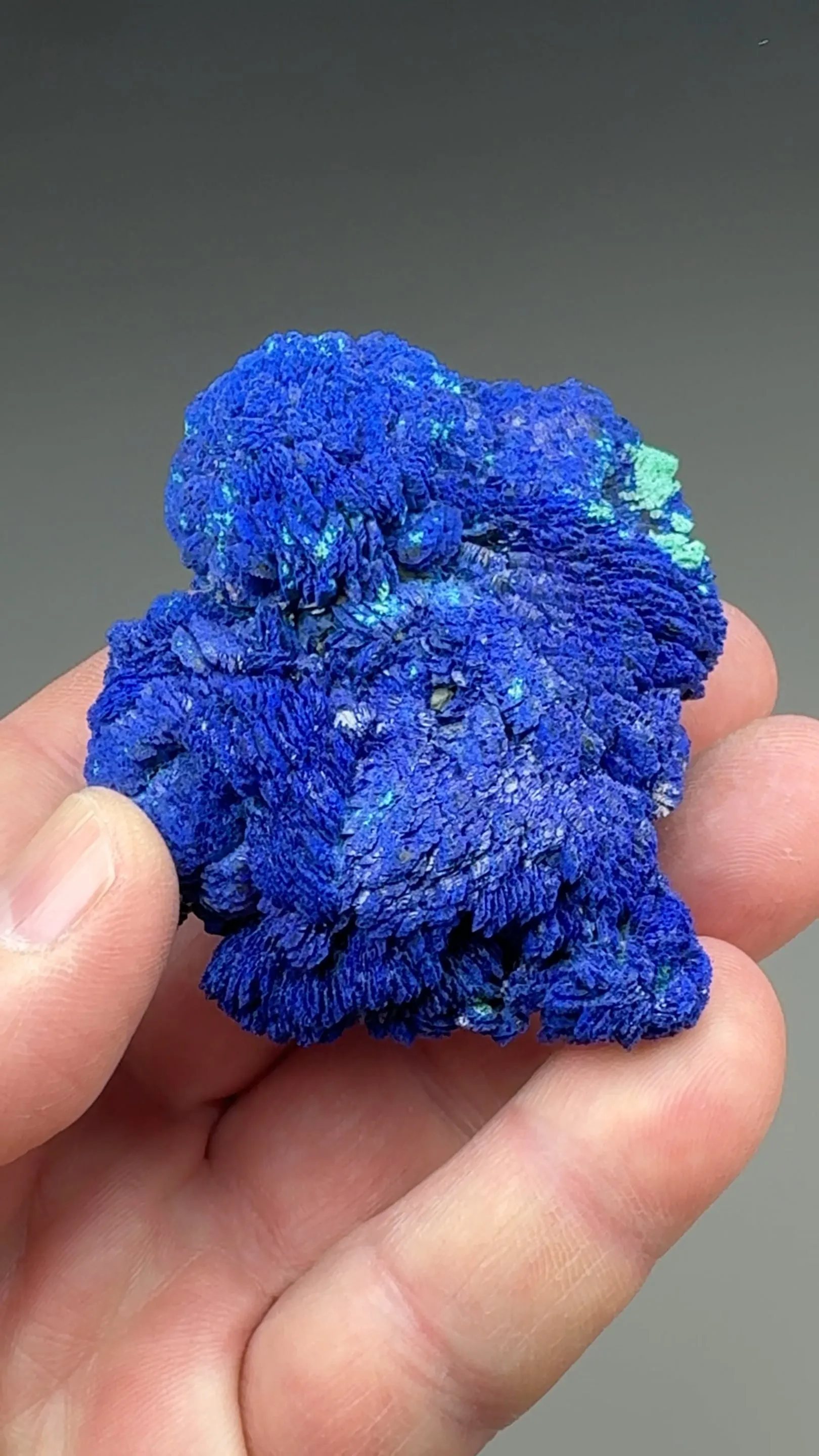 Azurite with Malachite - image 2