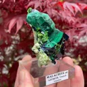 Azurite with Malachite and Arsenotsumebite or Balydonite - image 3
