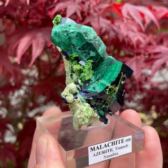 Azurite with Malachite and Arsenotsumebite or Balydonite - image 3
