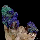 Azurite, with Malachite and Goethite, on Quartz - image 7