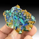 Azurite with Malachite, Brochantite - image 1