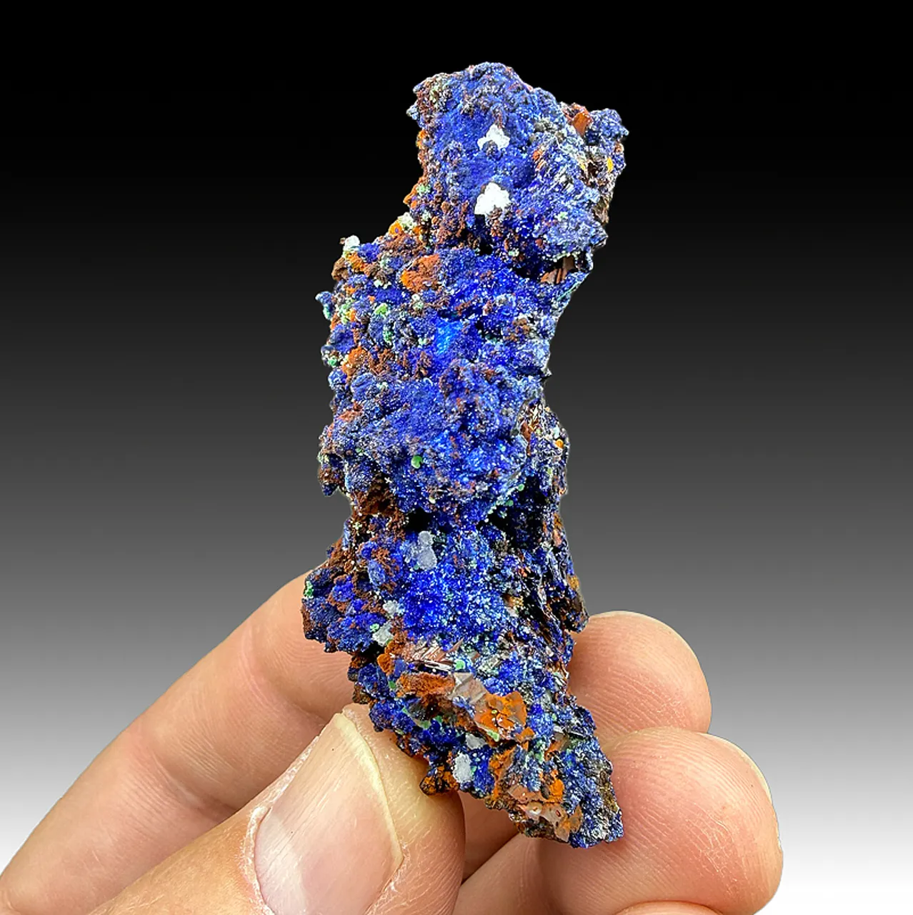 Azurite with Malachite, Calcite - image 1