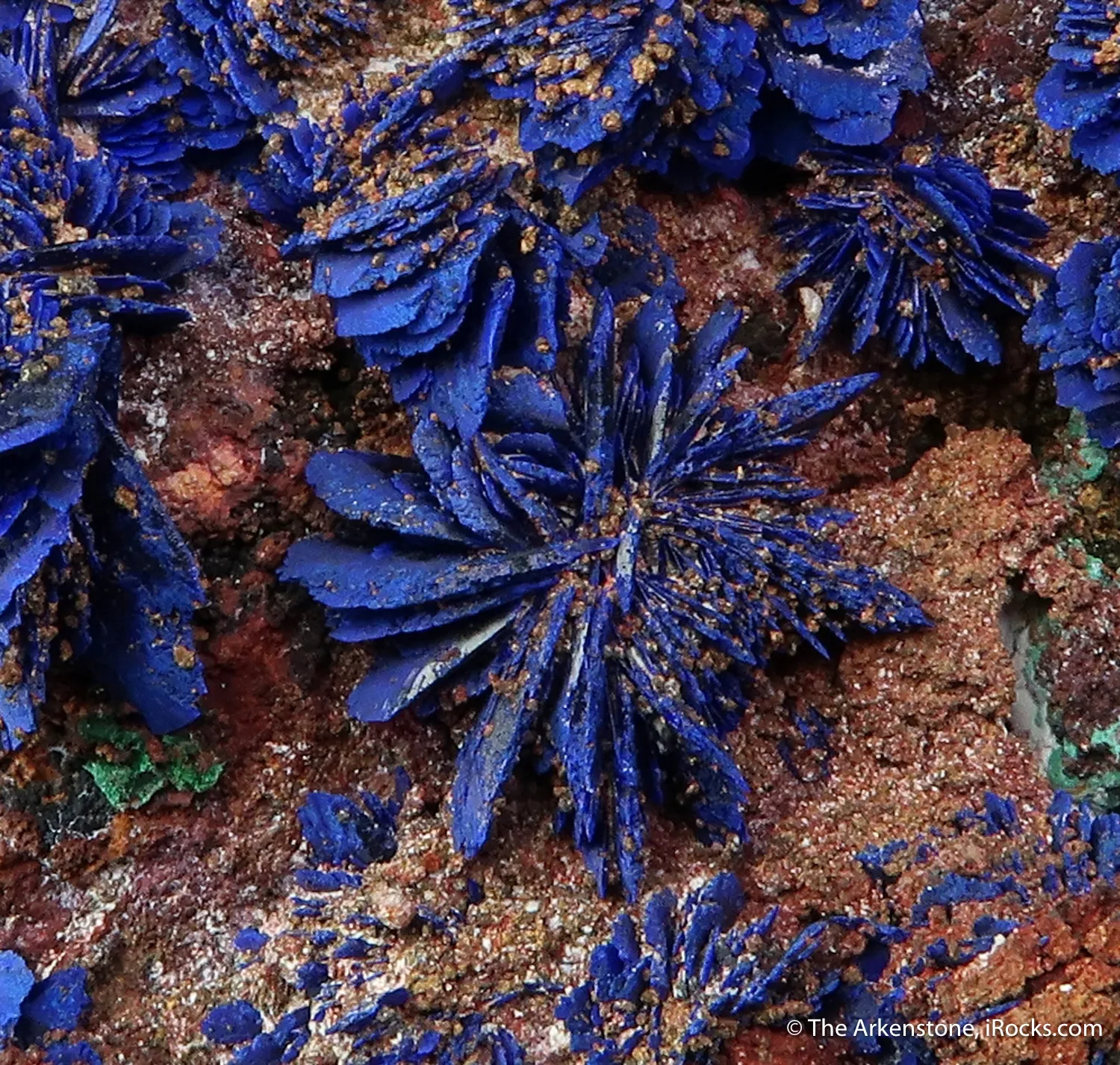 Azurite with Malachite - image 1