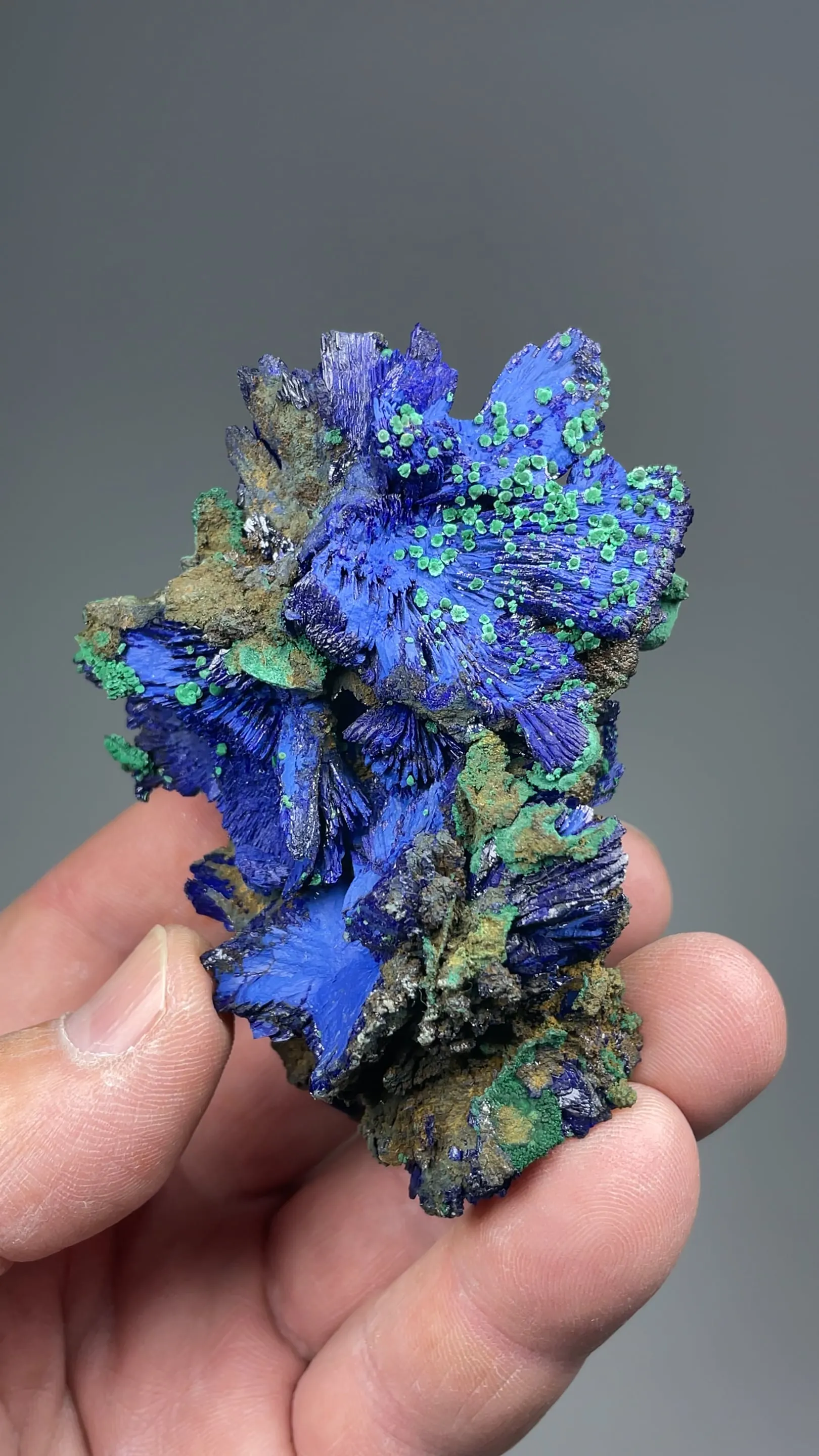 Azurite with Malachite - image 2