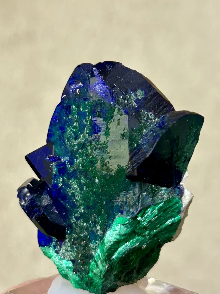 Azurite with Malachite from Mexico, Sonora, Milpillas, Milpillas Mine image