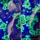 Azurite With Malachite (Polished) - image 8