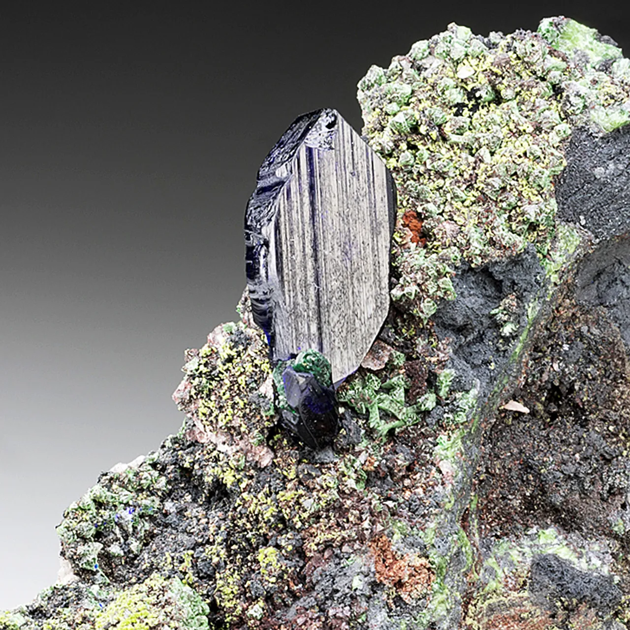 Azurite with Zincolivenite - image 1