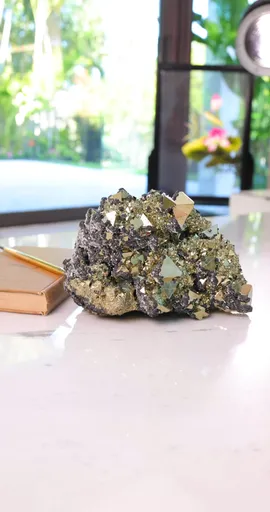 specimen video