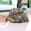 specimen video