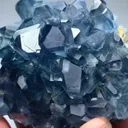 specimen video
