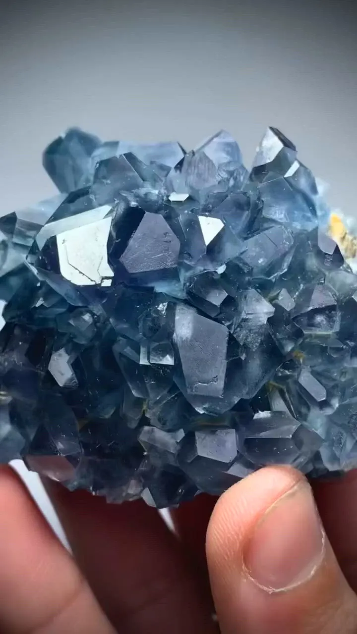 specimen video