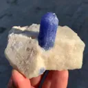 specimen video