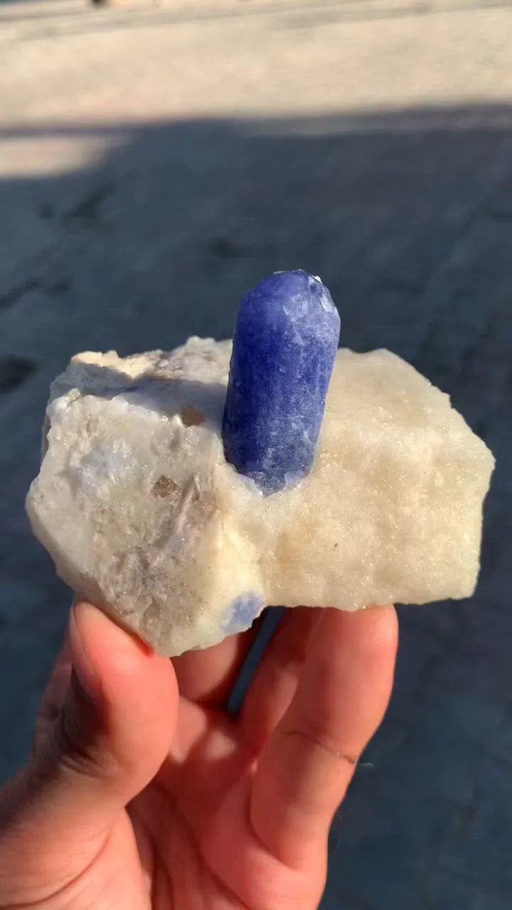 specimen video