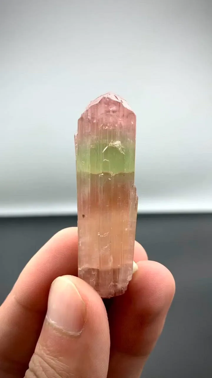 specimen video