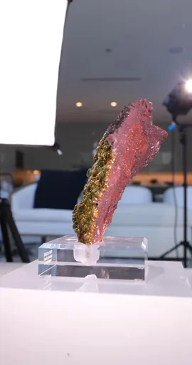 specimen video