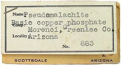 specimen