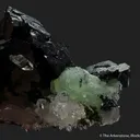 Babingtonite and Prehnite on Quartz - image 8