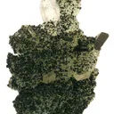 Babingtonite on Prehnite - image 1