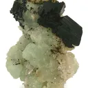 Babingtonite on Prehnite - image 1