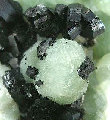 Babingtonite on Prehnite - image 4