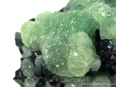 Babingtonite on Prehnite - image 2