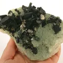 Babingtonite on Prehnite - image 4