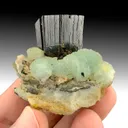 Babingtonite with Prehnite - image 1