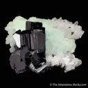 Babingtonite with Prehnite on Quartz - image 6