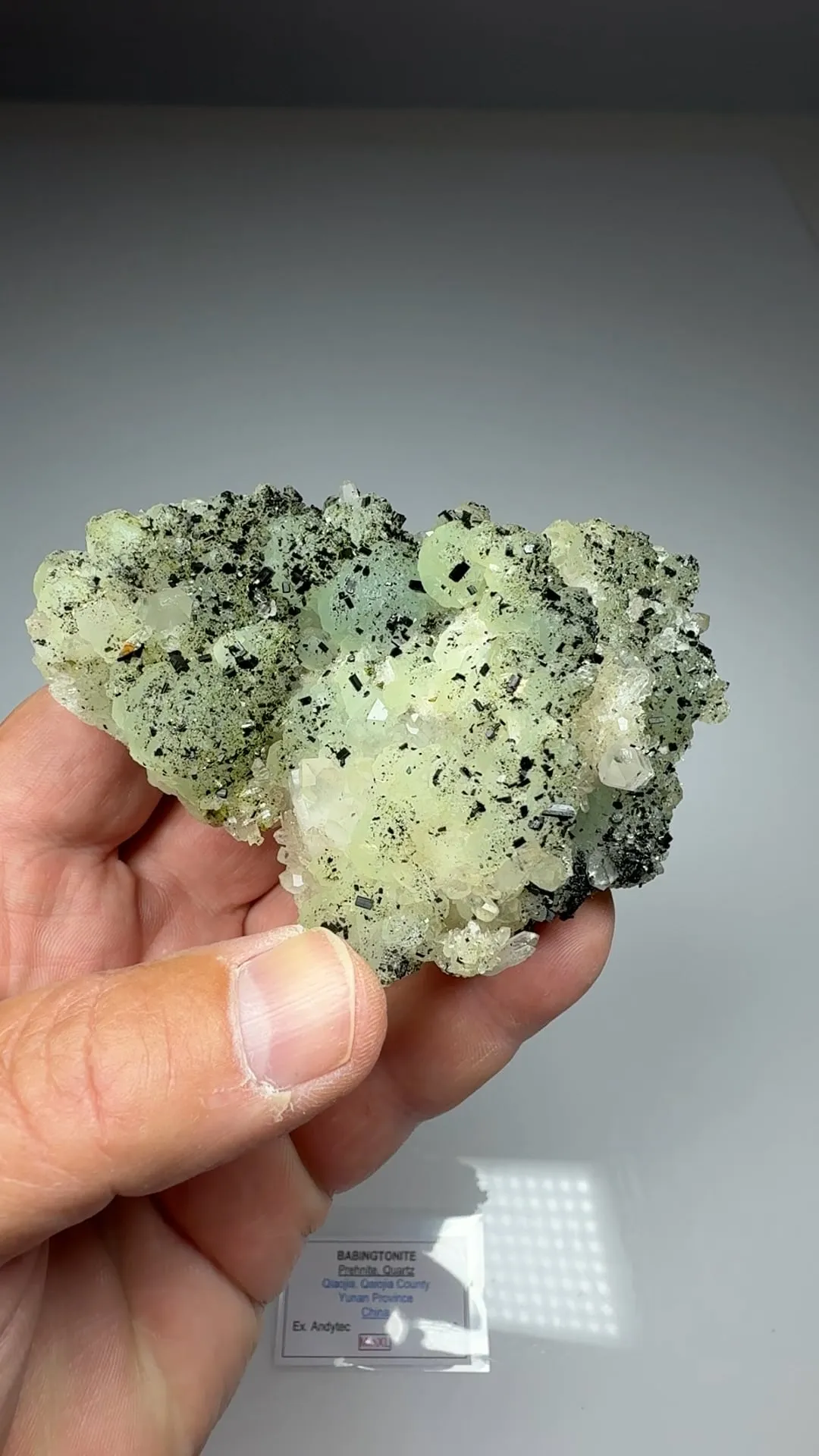Babingtonite with Prehnite, Quartz - image 2