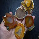 Banded - image 4