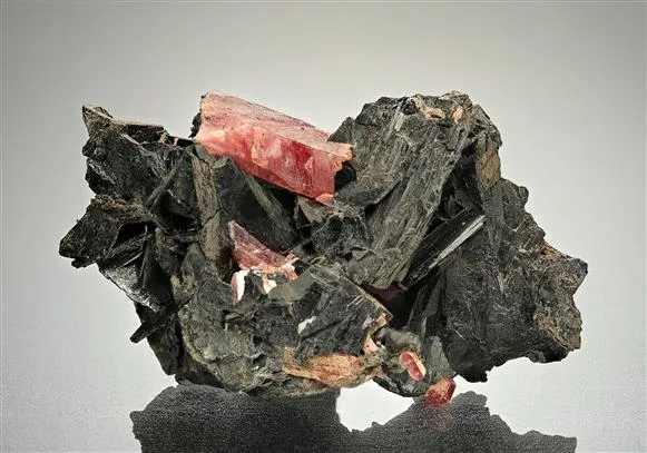 BANNISTERITE with Rhodonite image