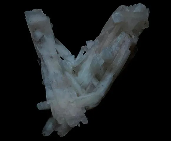 BARIAN Celestine image