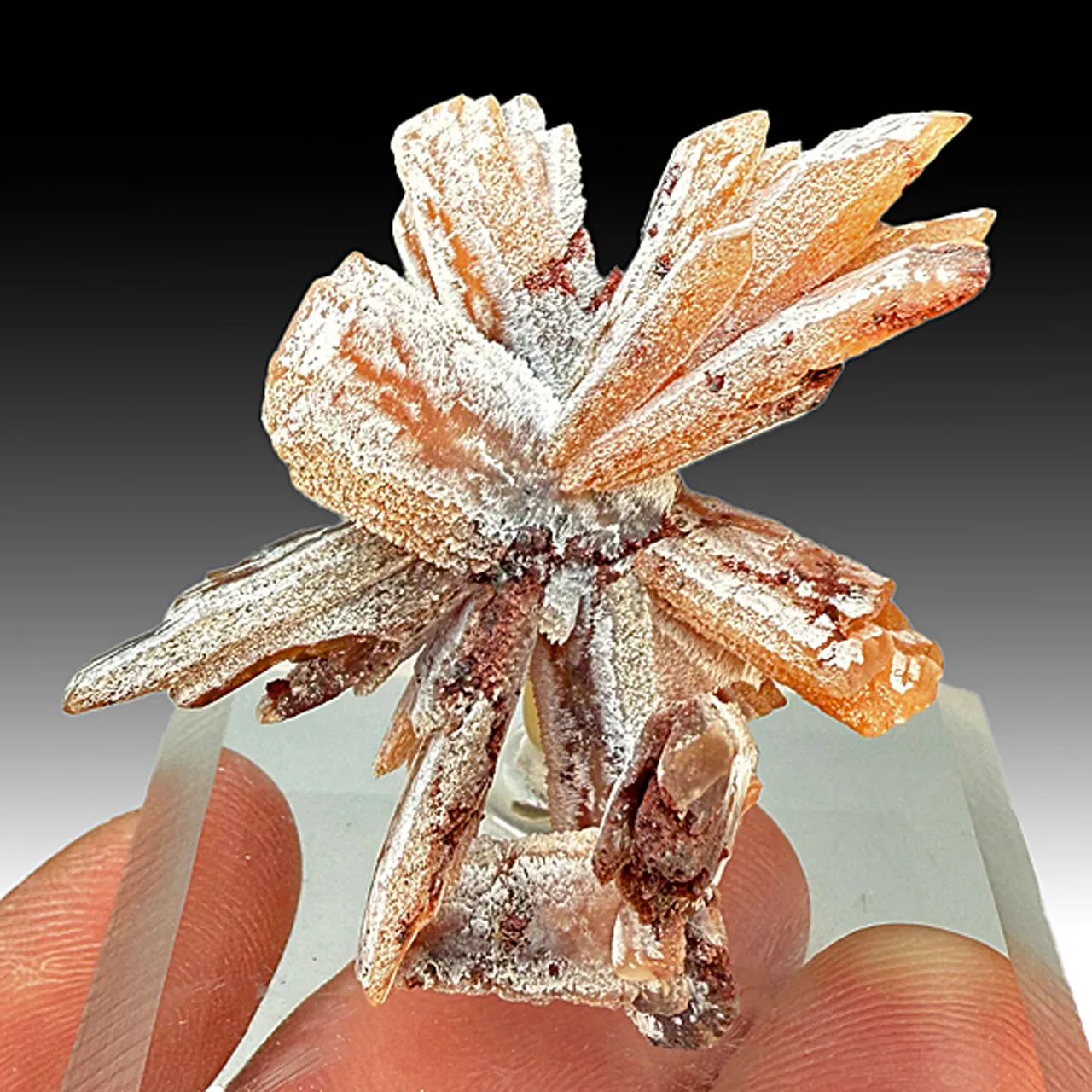 Barite (1221) - image 1