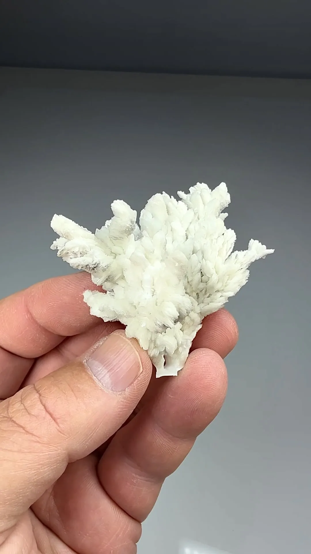 Barite (1343) - image 2