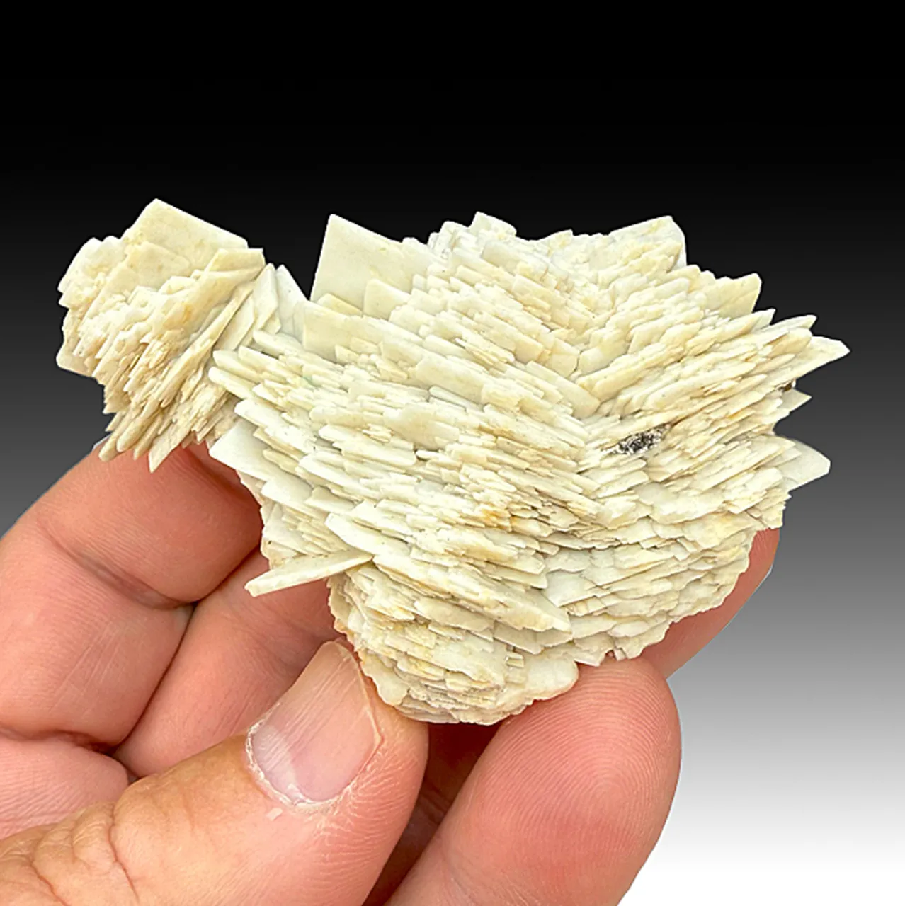 Barite (1774) - image 1