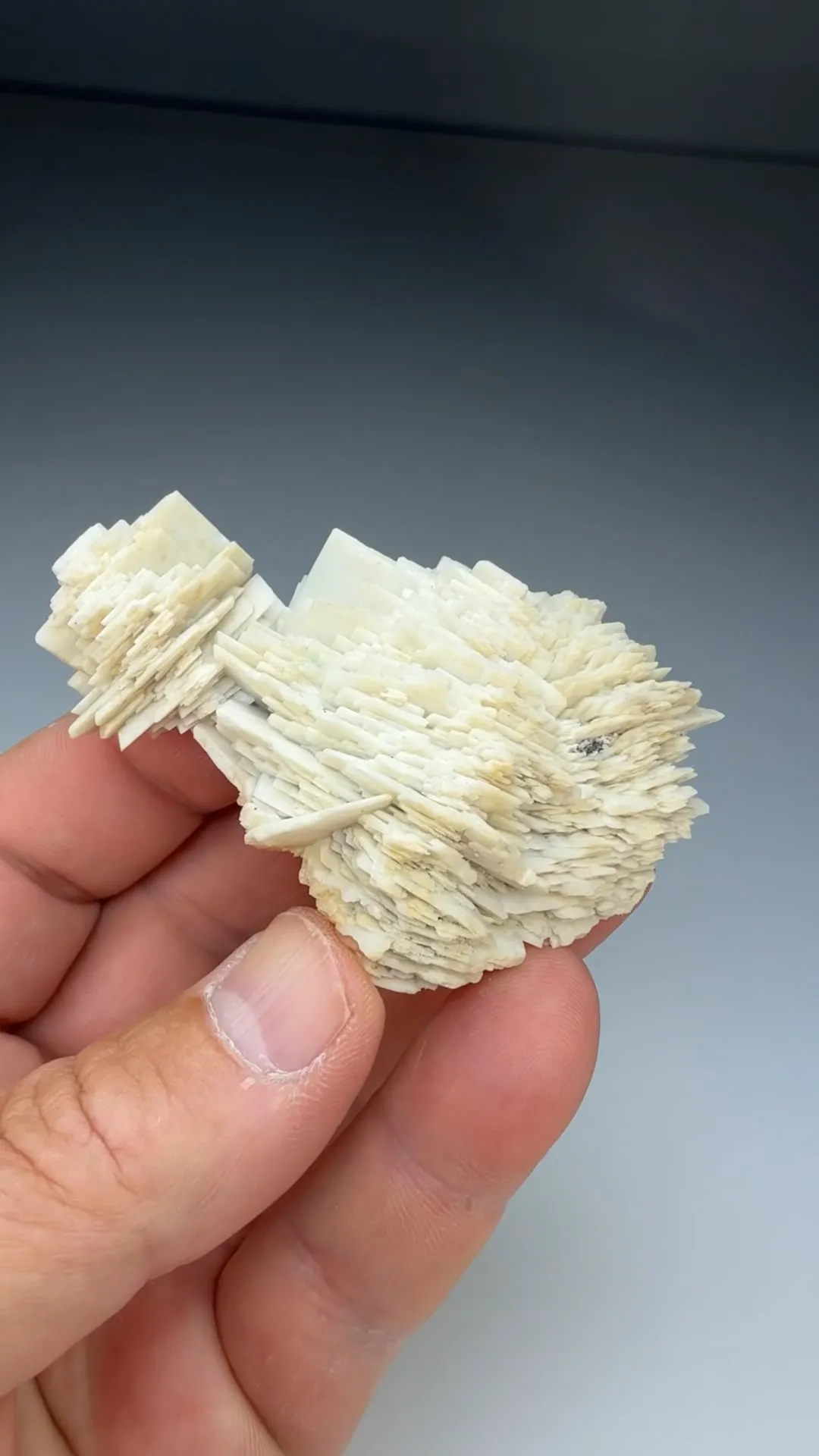 Barite (1774) - image 2