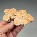 Barite (1903) - image 2