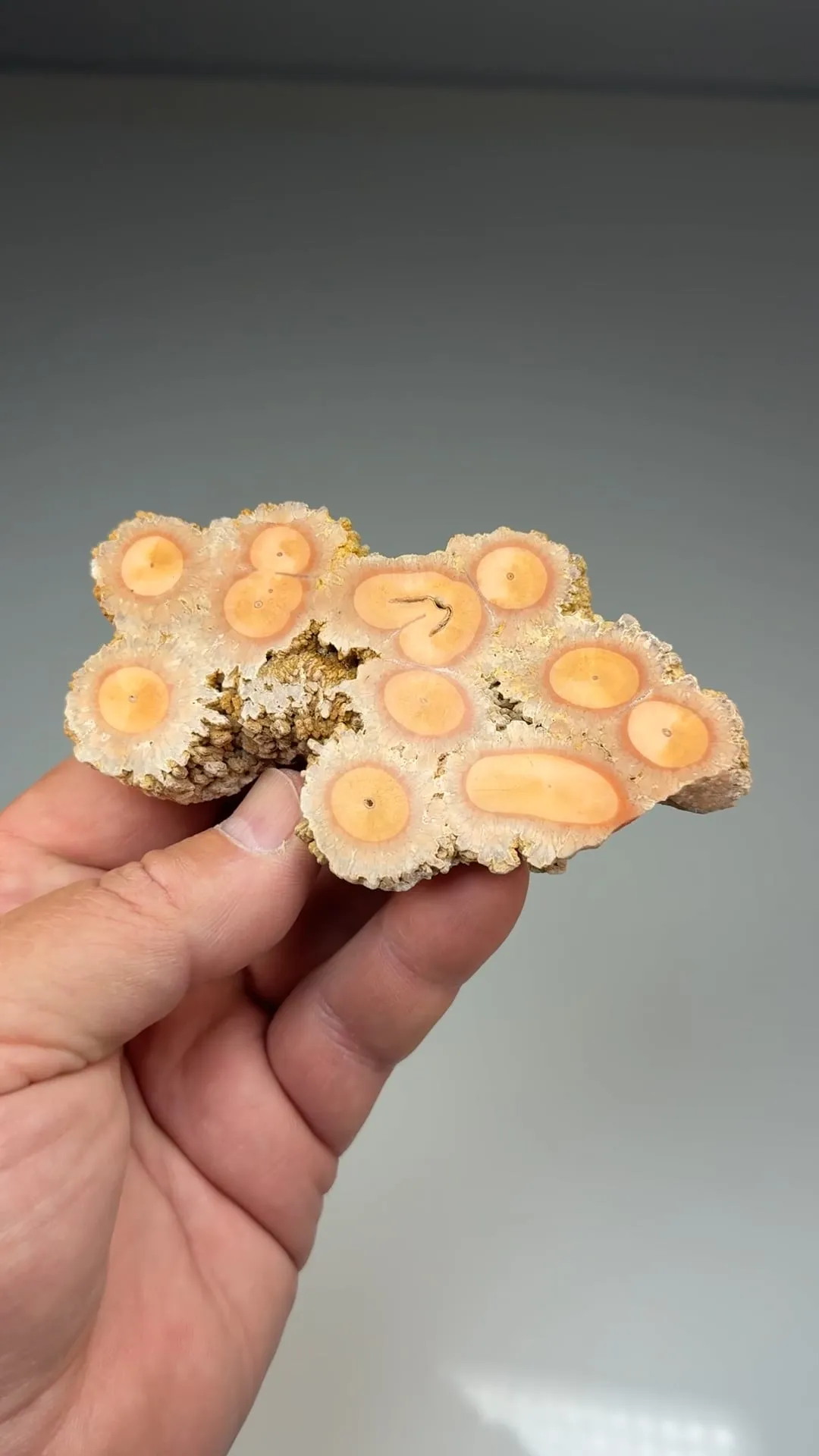 Barite (1903) - image 2