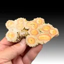 Barite (1903) - image 1