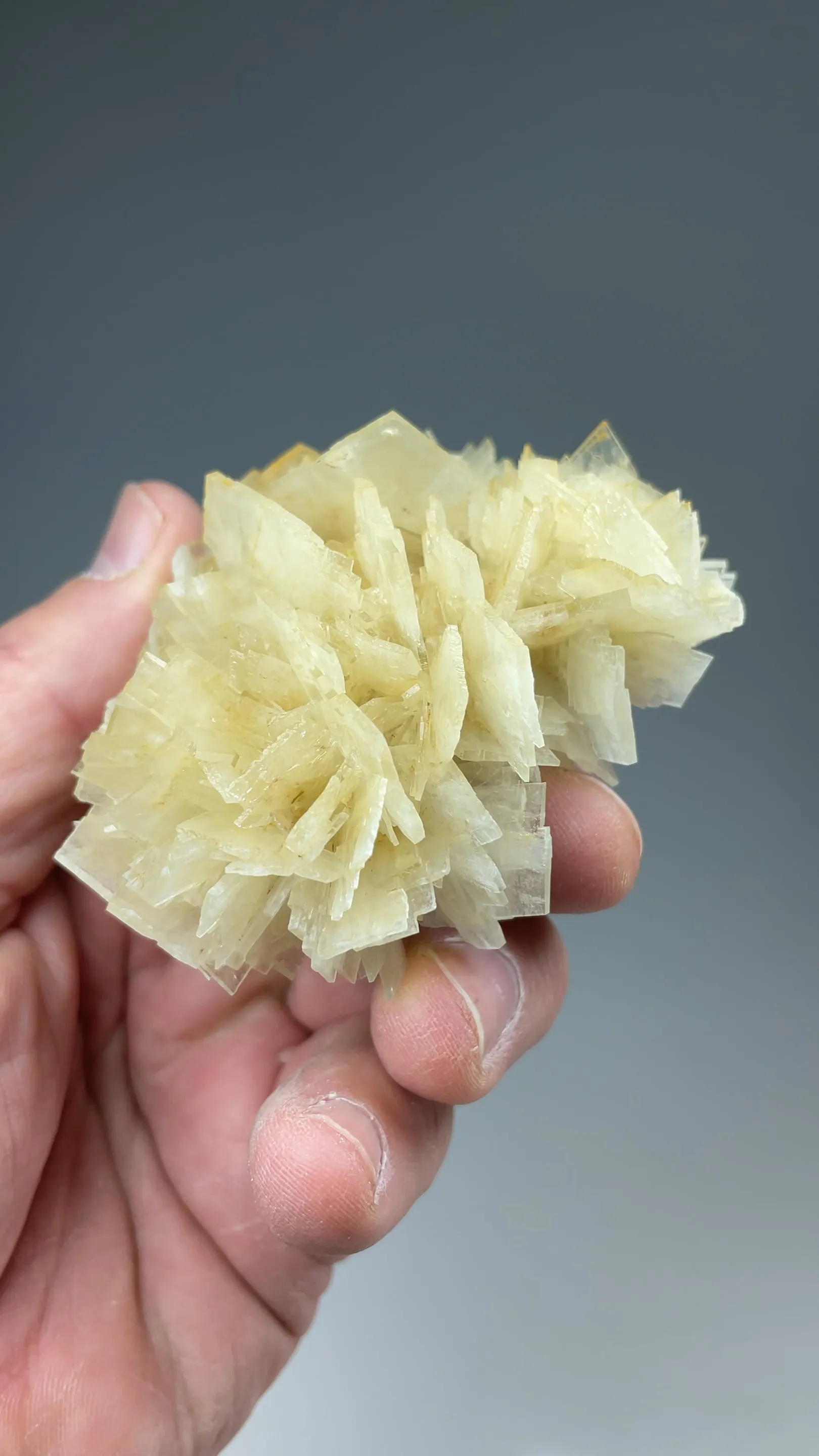 Barite (2002-2003) - image 2