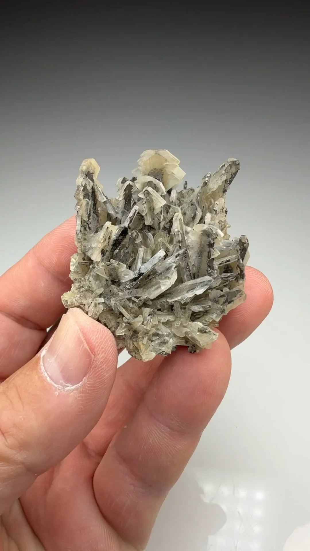 Barite (2207) - image 2