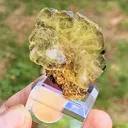 specimen video