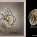 Barite - image 1