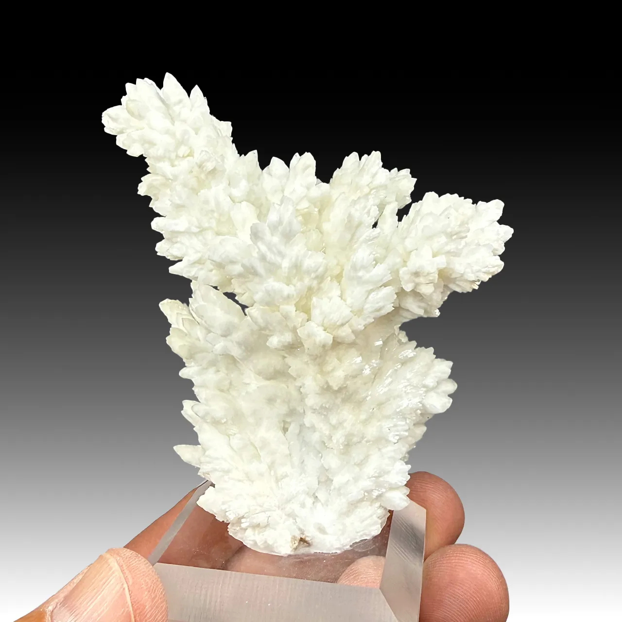 Barite (422) - image 1