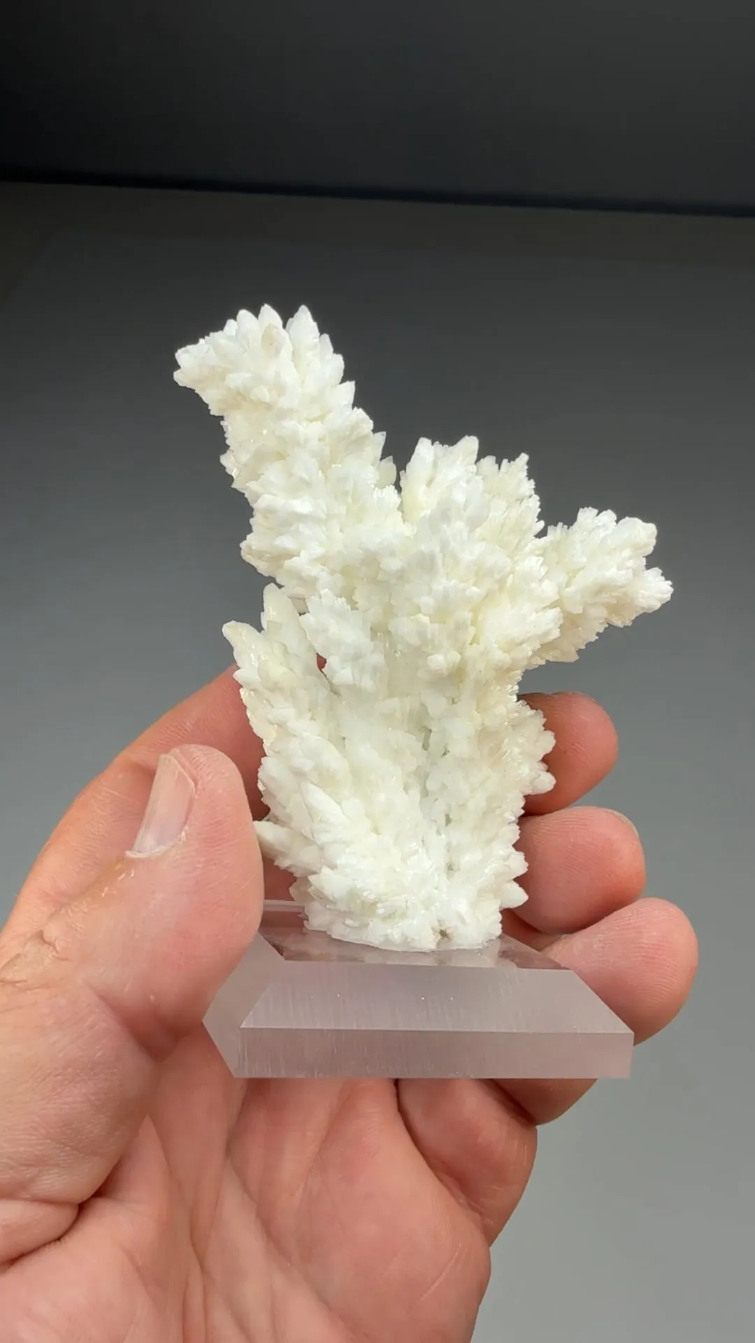 Barite (422) - image 2