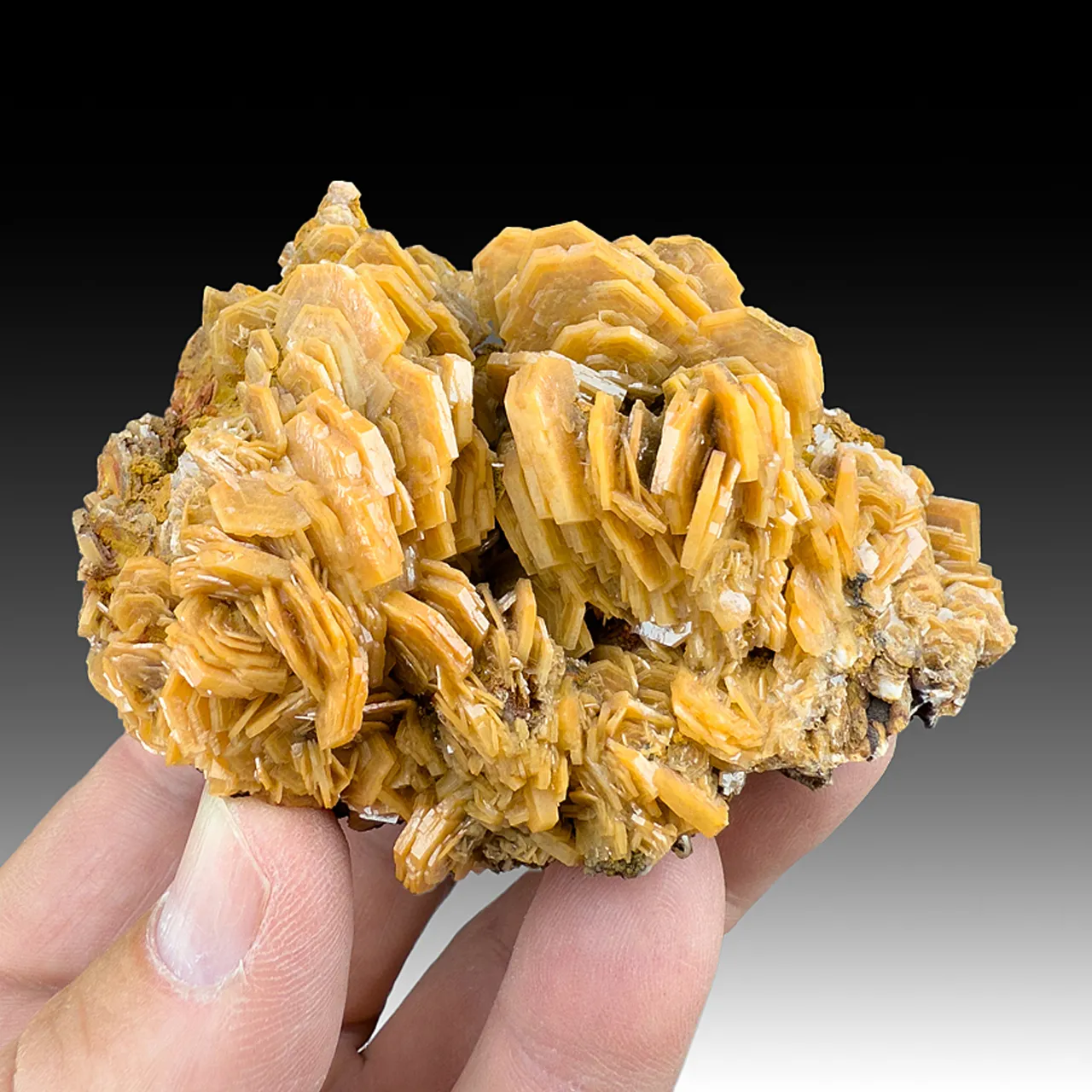 Barite (590) - image 1
