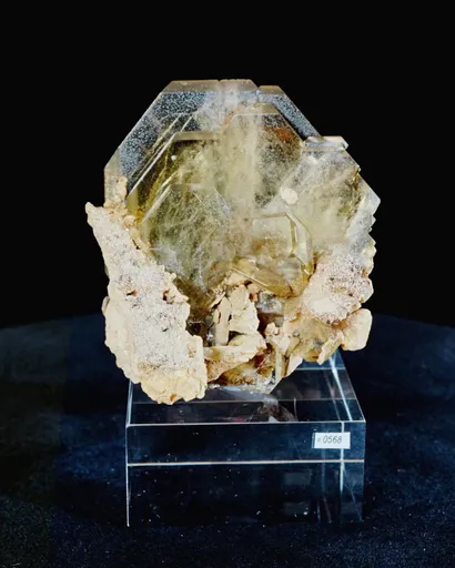 specimen video