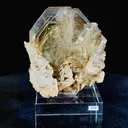 specimen video